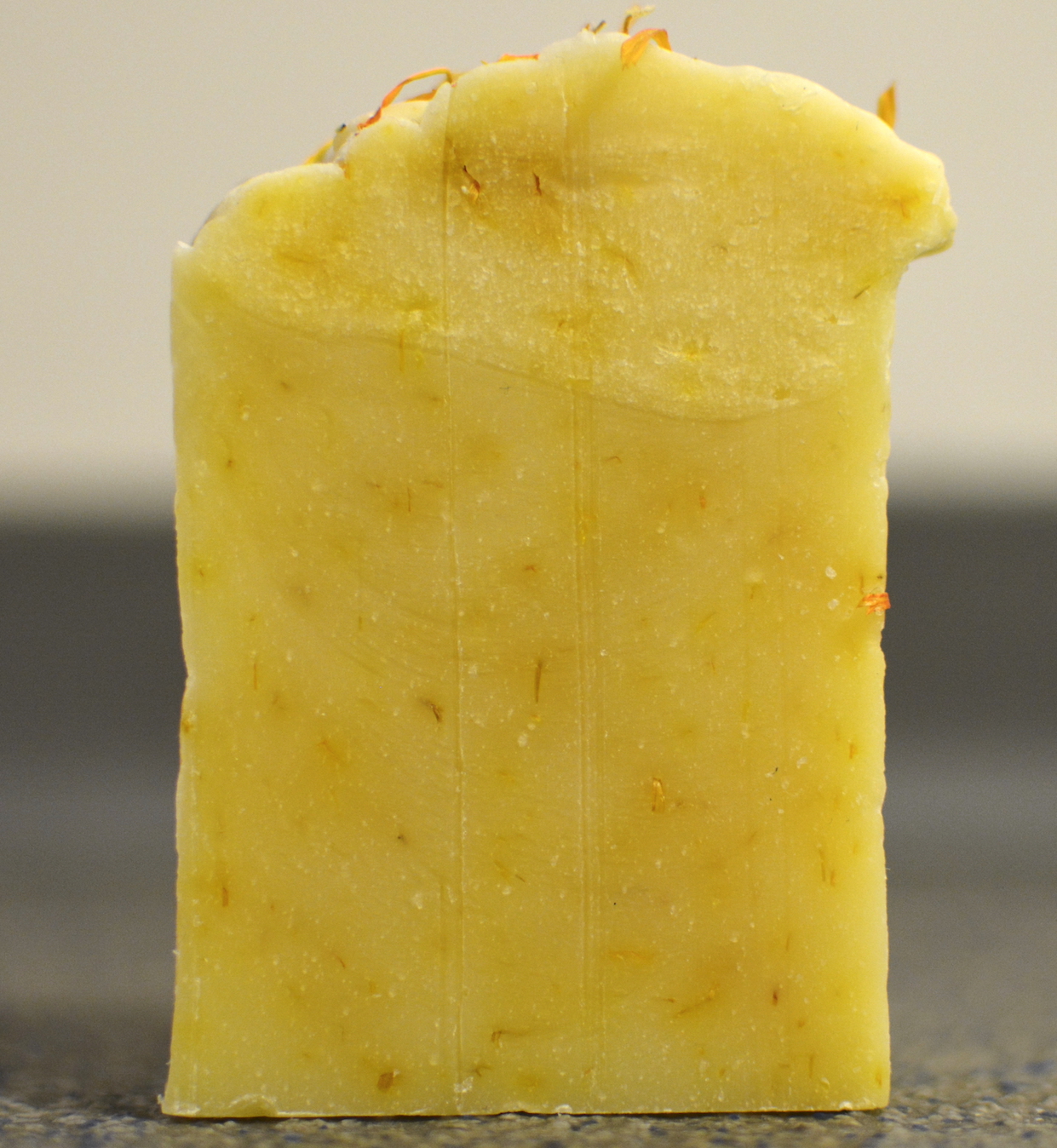 Calendula - copie